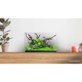 CLEAR MINI 16 Aquarium E8348