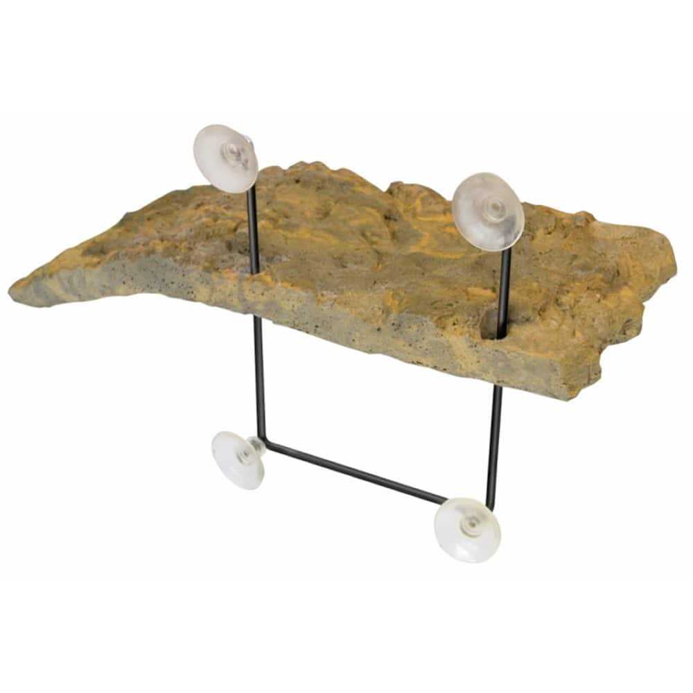 Turtle Dock C918001