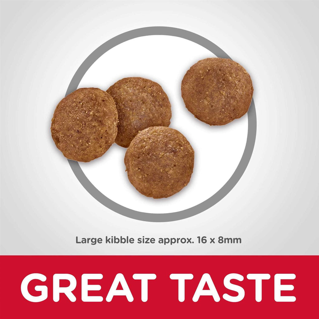 Chicken & Barley Recipe Large Breed Dry Dog Food G399