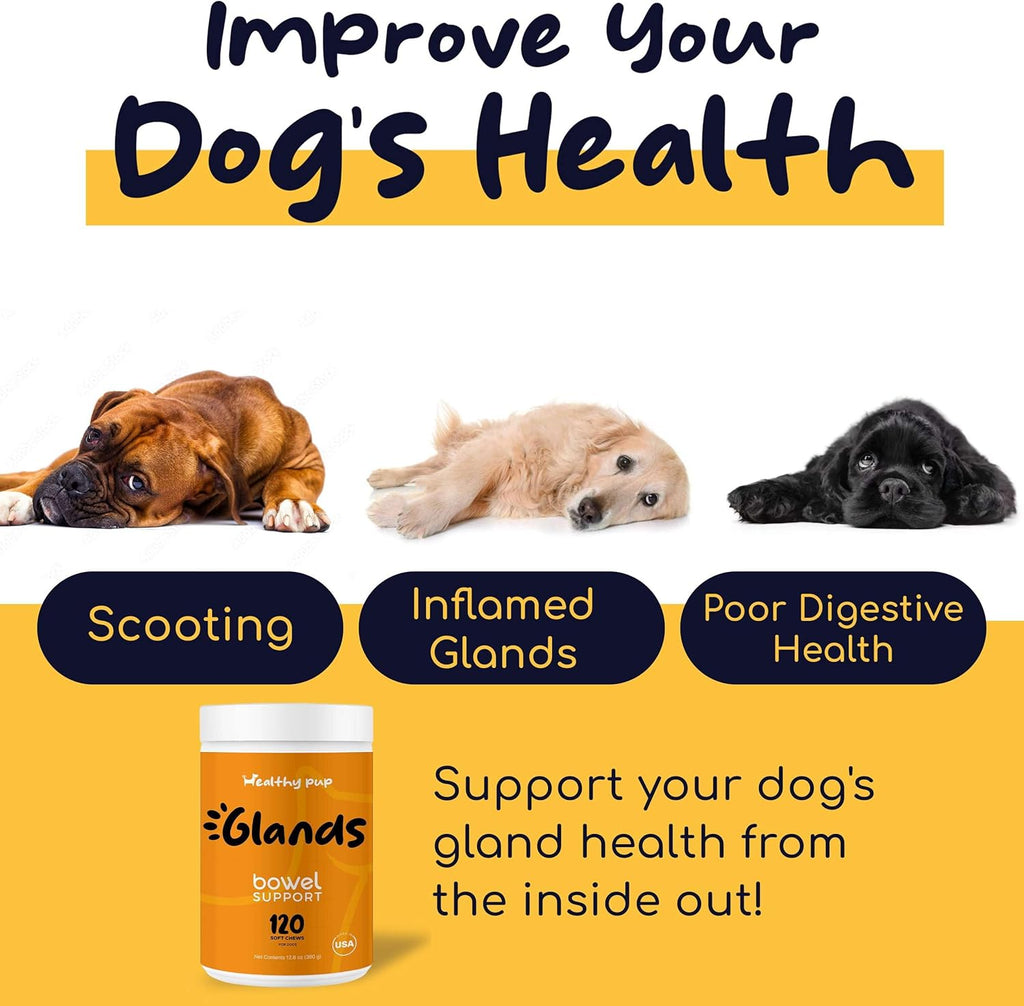 120 Delicious Soft Chews for Dogs with Pumpkin Powder V672