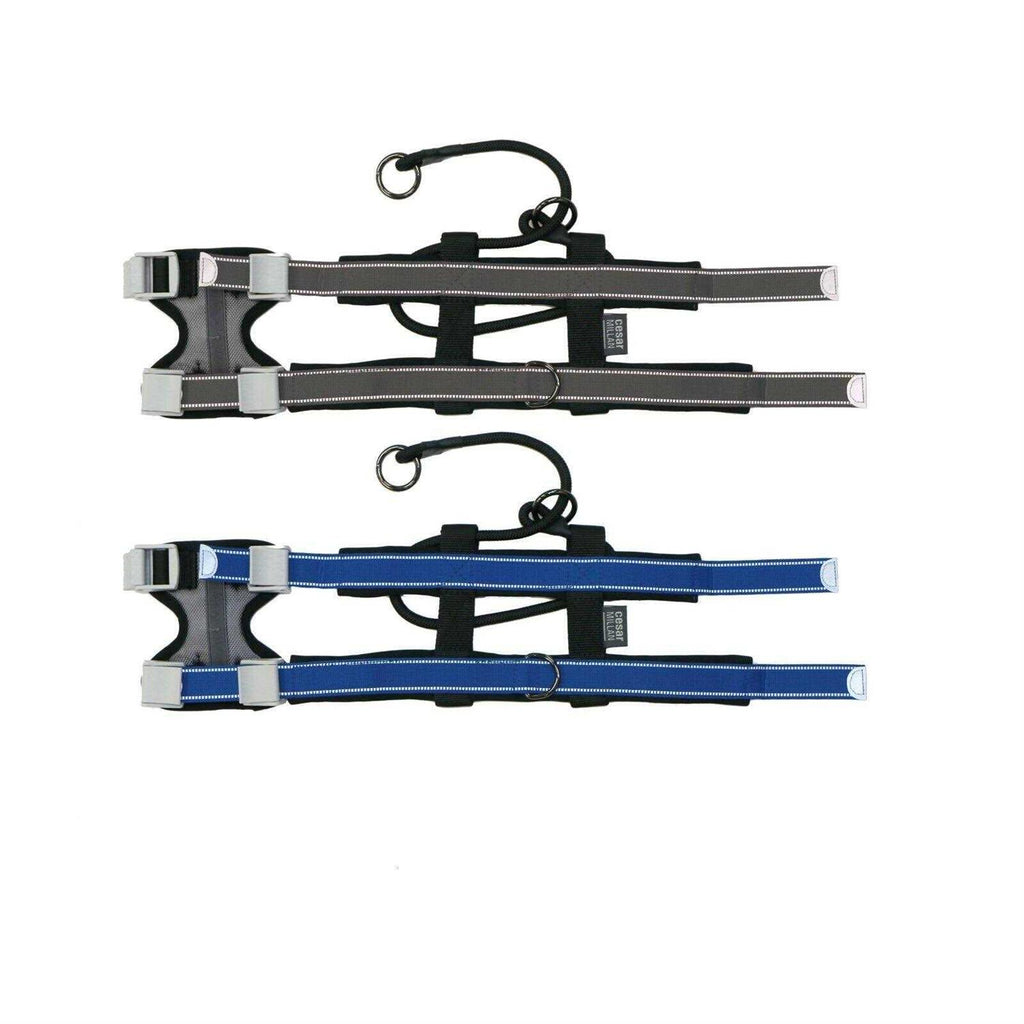 Training Collar P105