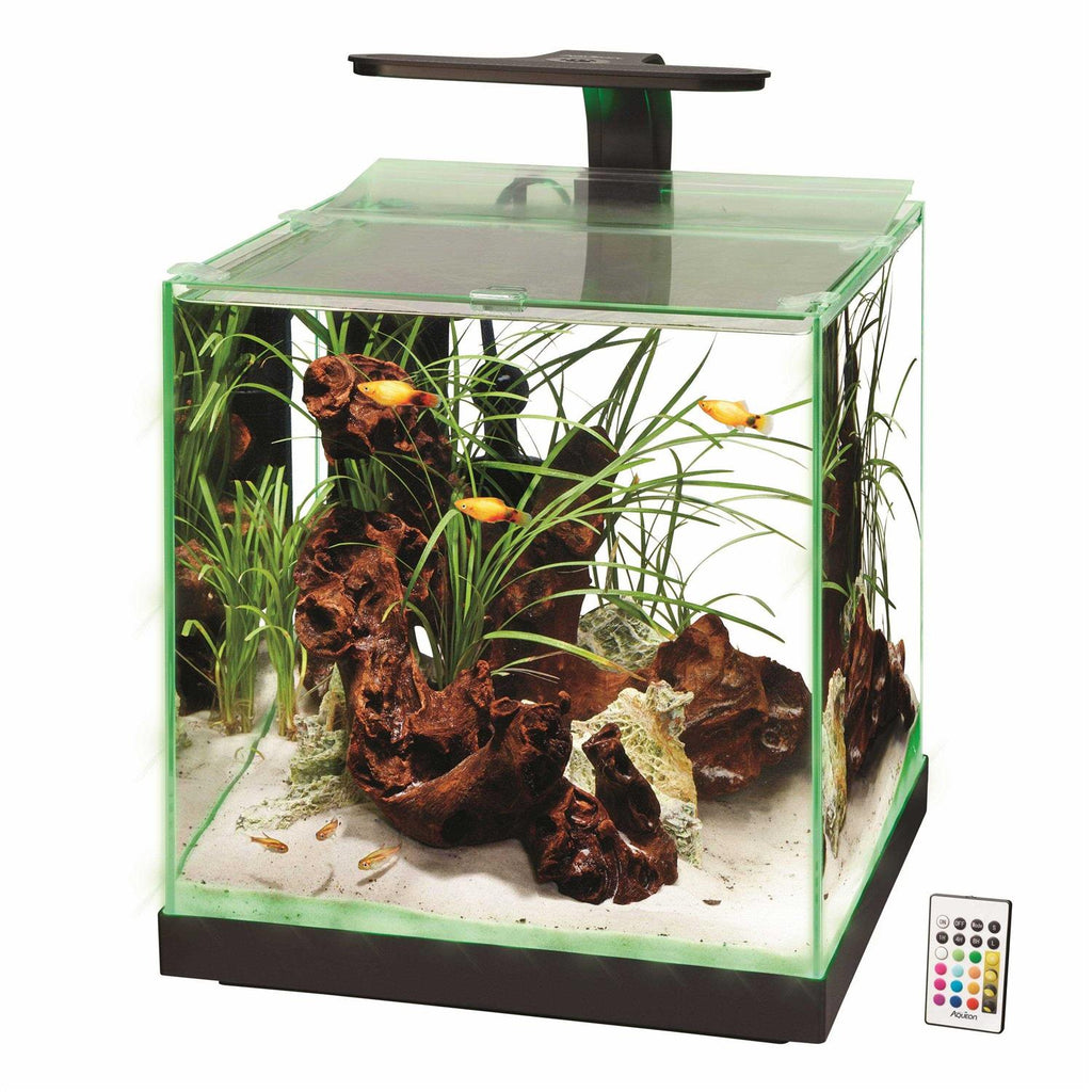 Aquarium L54329