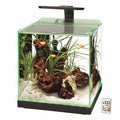 Aquarium L54329