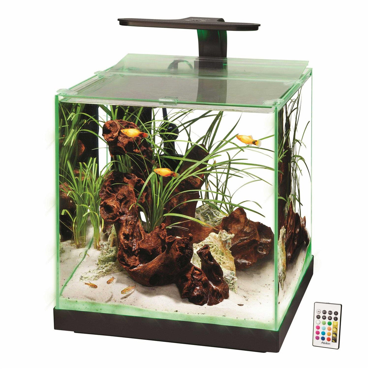 Aquarium L54329