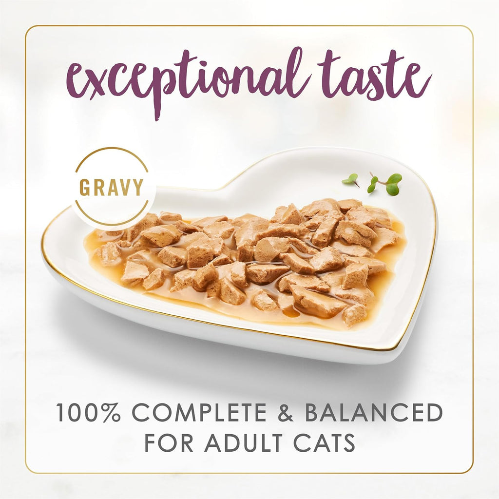 Chicken Feast in Gravy Wet Cat Food - Pack of 24 3 oz. Cans V3652
