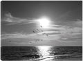 32x24 Canvas Art G99092