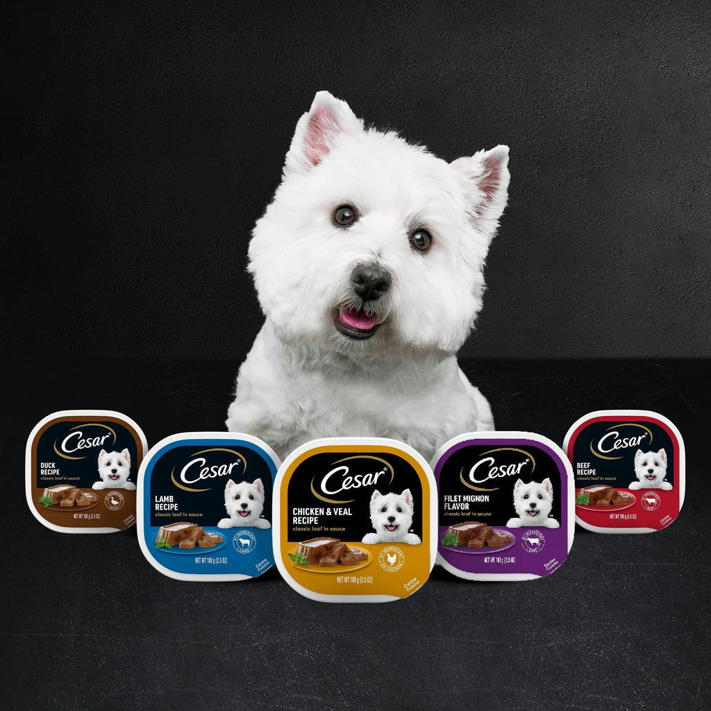 Filet Mignon & Porterhouse Steak Wet Dog Food 3.5 oz 36 ct V3235