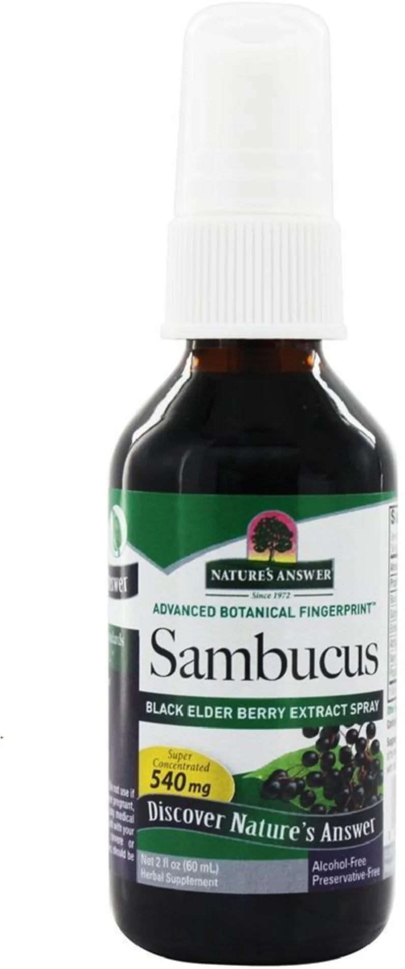 2 oz Black Elder Berry Extract Spray K76910