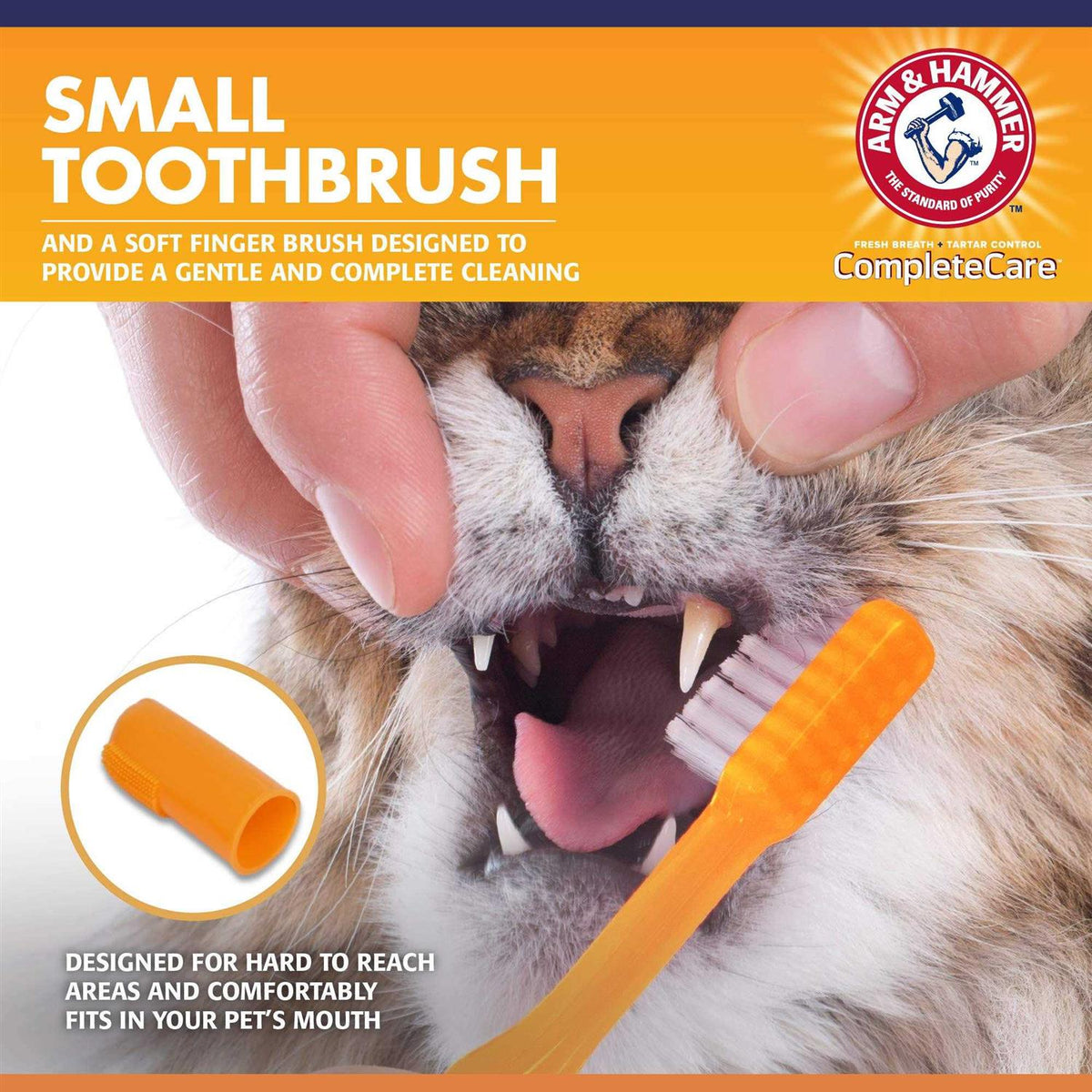 Cat Dental Kit M537345