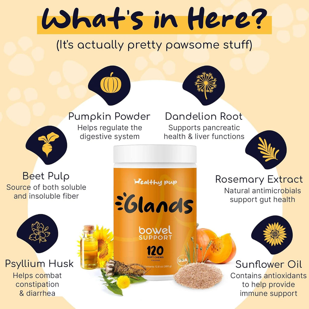 120 Delicious Soft Chews for Dogs with Pumpkin Powder V672
