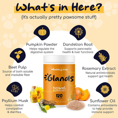120 Delicious Soft Chews for Dogs with Pumpkin Powder V672