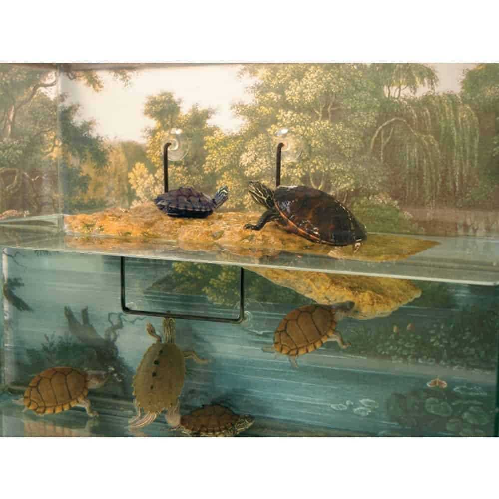 Turtle Dock C918001