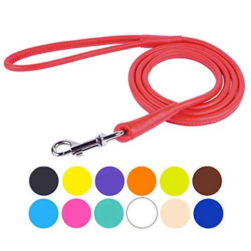 Leather Dog Leash J691