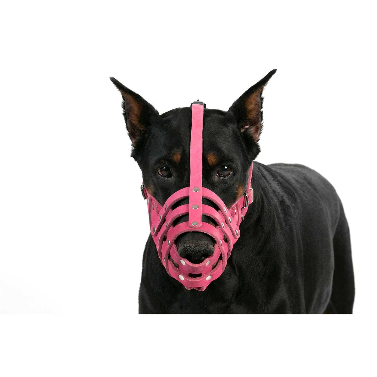 Leather Dog Muzzle Medium Large Breeds I27881
