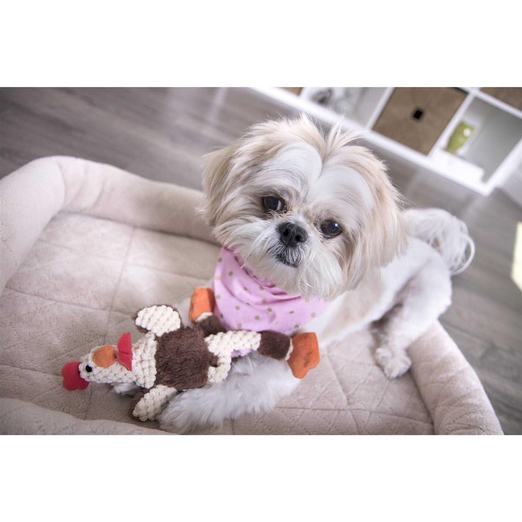 Skinny Rooster Dog Toy F673
