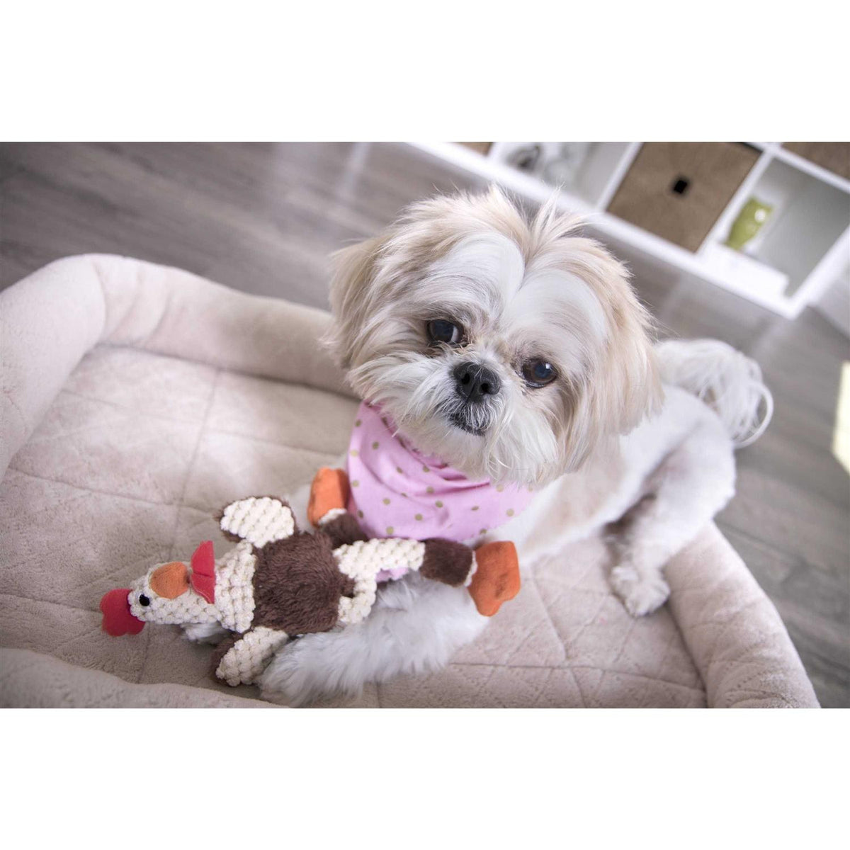 Skinny Rooster Dog Toy F673