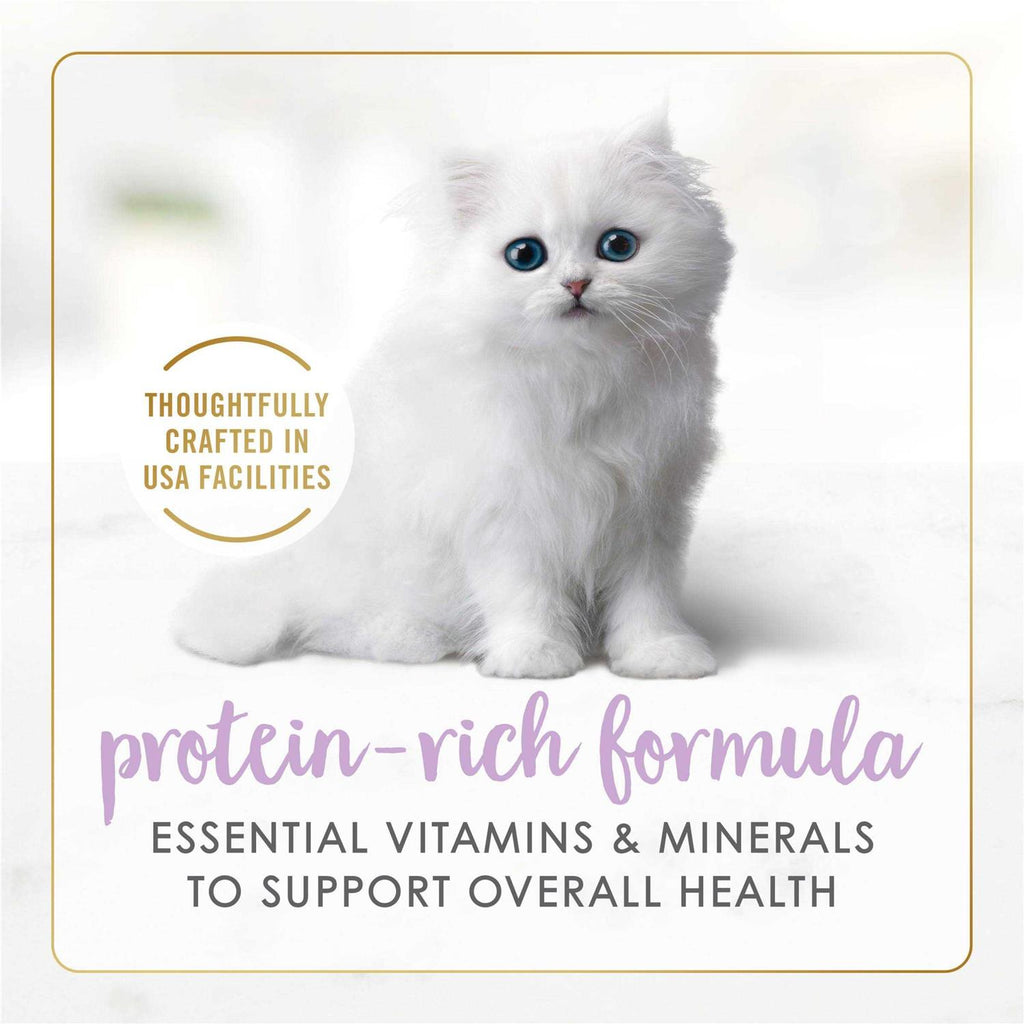 Grain Free Pate Wet Kitten Food C316