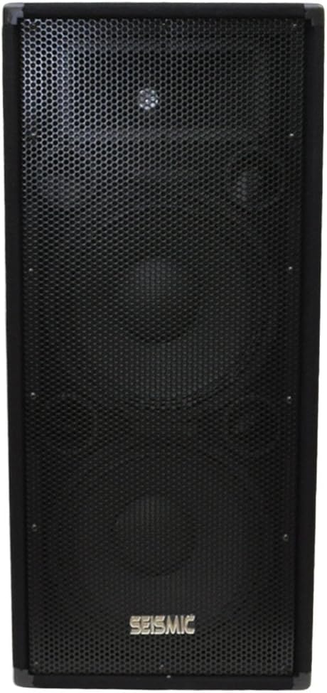 Pair of Dual 12 PA/DJ Speaker Cabinets with Titanium Horns, 700 Watts RMS per Cabinet W2277