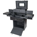 Multifunction Cosmetics Trolley Train Case H718