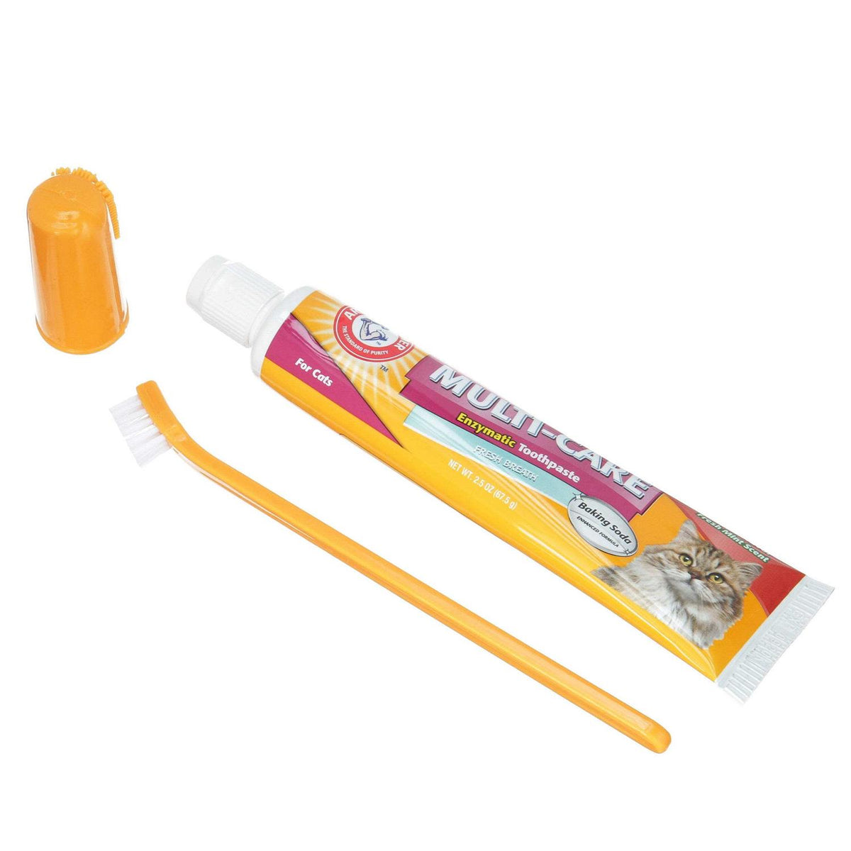 Cat Dental Kit M537345