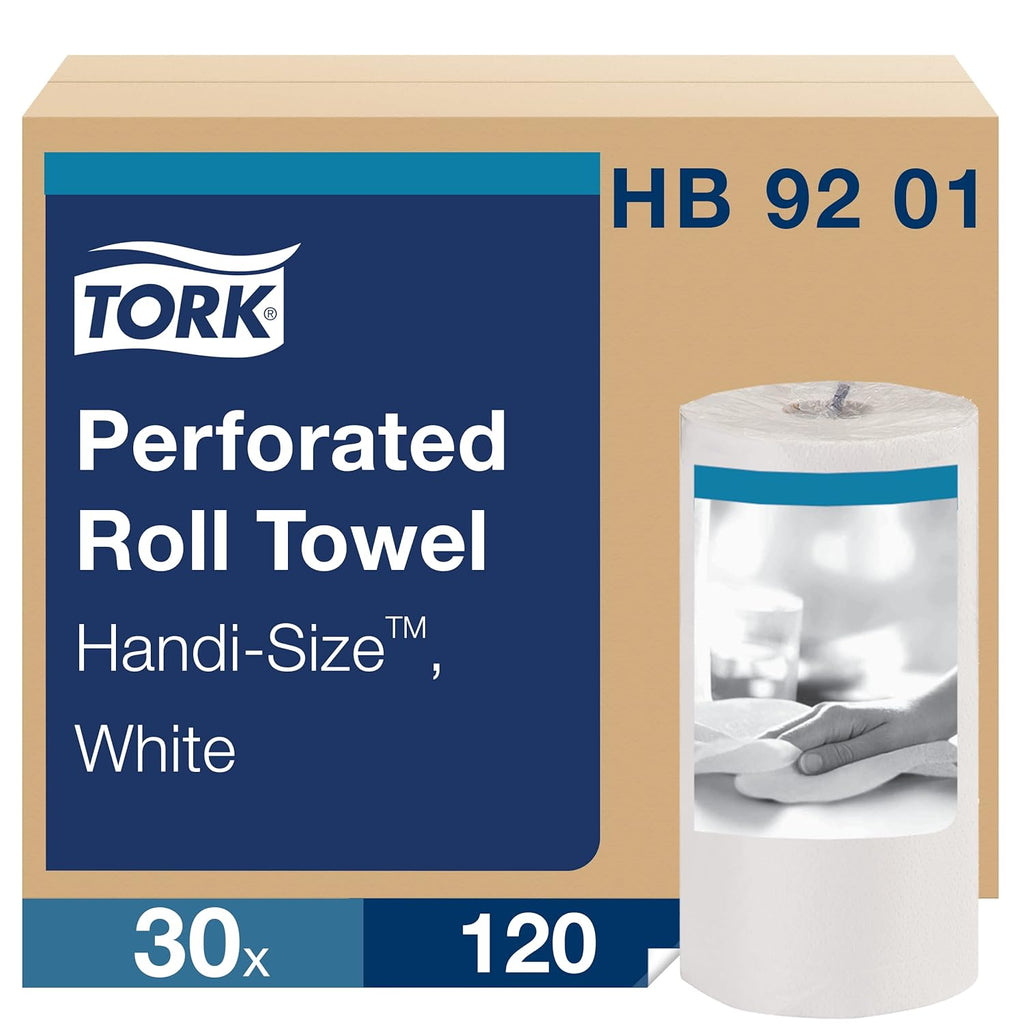Perforated Paper Towel, White, 2-Ply, Case of 30 Rolls, 120 per Roll, 3,600 Towels Pack of 2 E35154