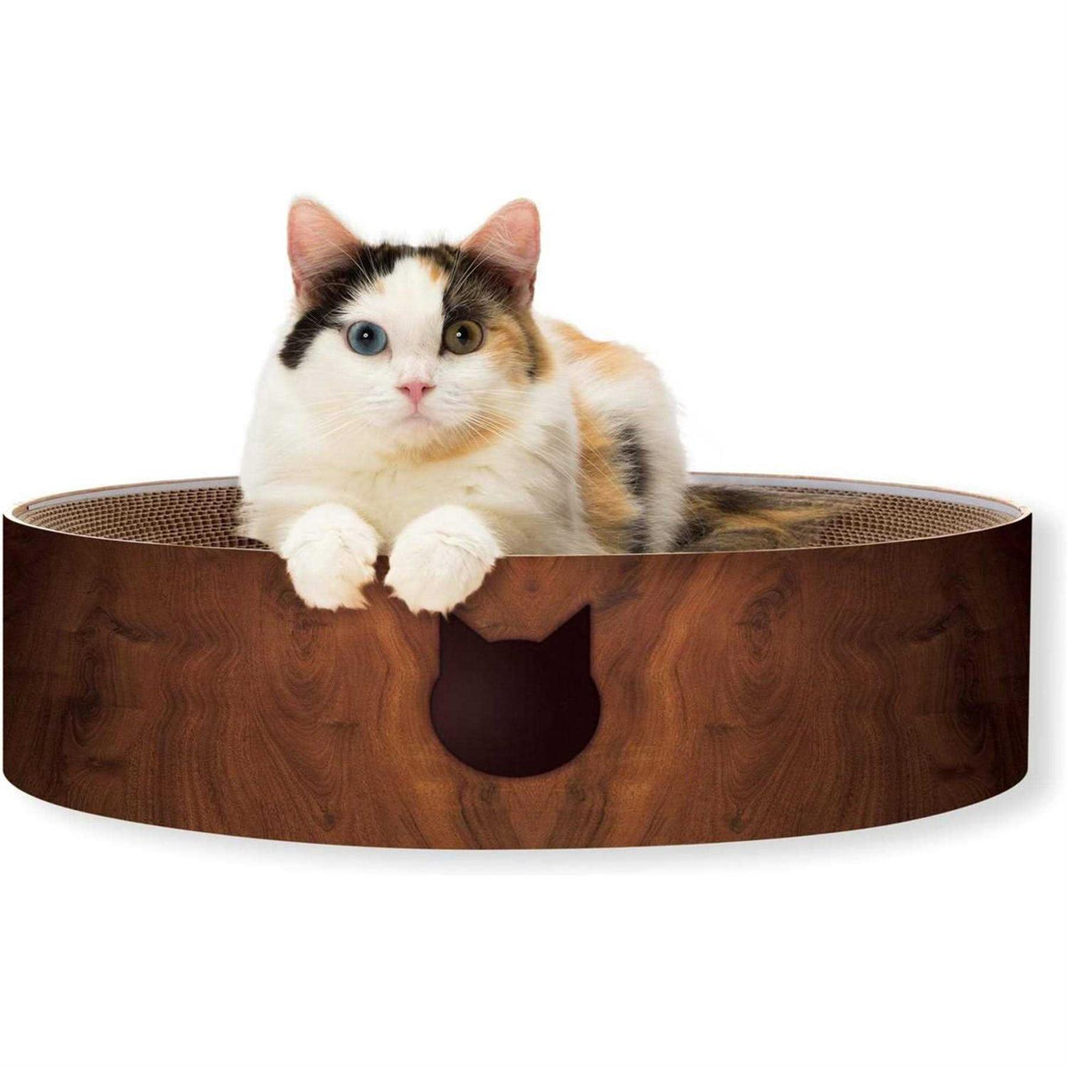 Cat Scratcher Bowl V21359