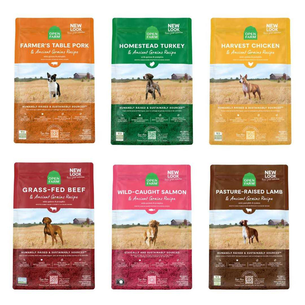 Homestead Turkey Ancient Grains Dry Dog Food K47080