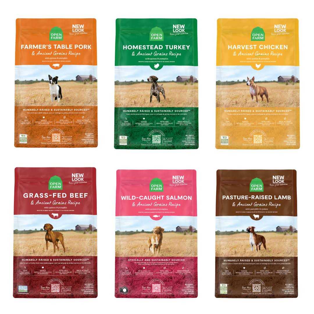 Homestead Turkey Ancient Grains Dry Dog Food K47080