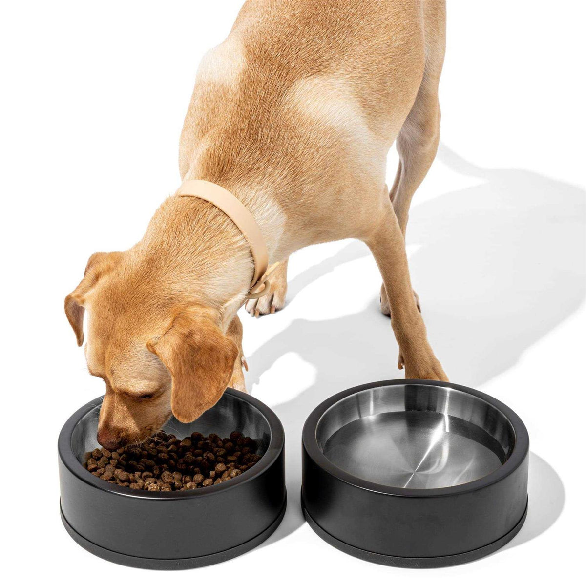 Pet Bowl B65316