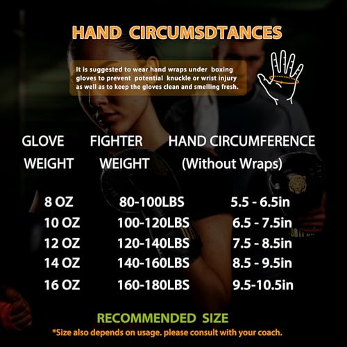 Boxing Gloves 8 10 12 14 16oz E614451