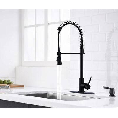 Kitchen Faucet with Soap Dispenser R1065