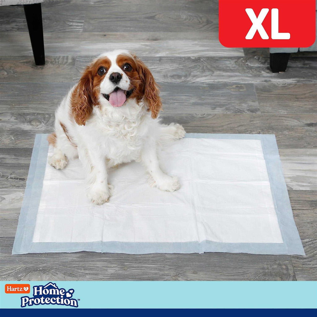 Dog Pads S1636