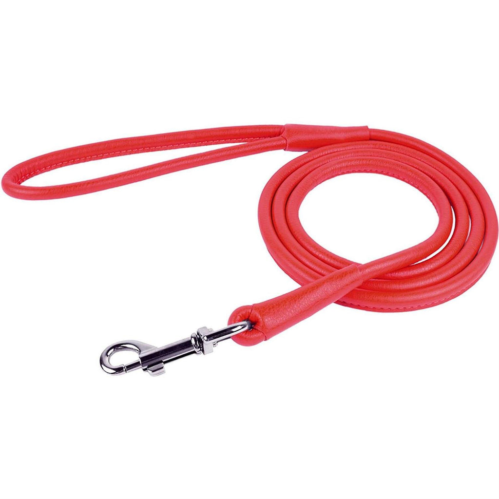 Leather Dog Leash J691