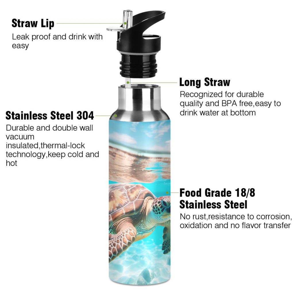 20 oz Insulated Stainless Steel Thermos Bottle with Straw Lid M995