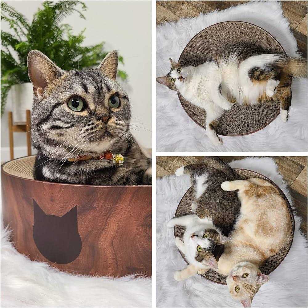 Cat Scratcher Bowl V21359