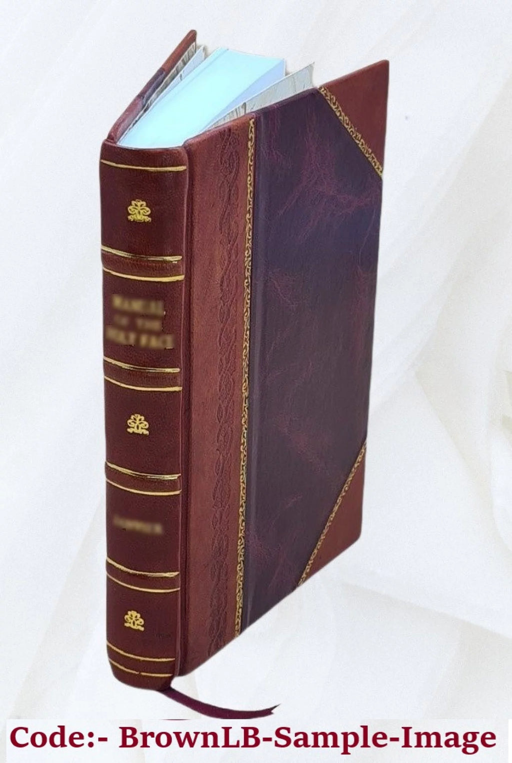 Leather Bound Q56483