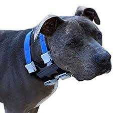 Training Collar P105