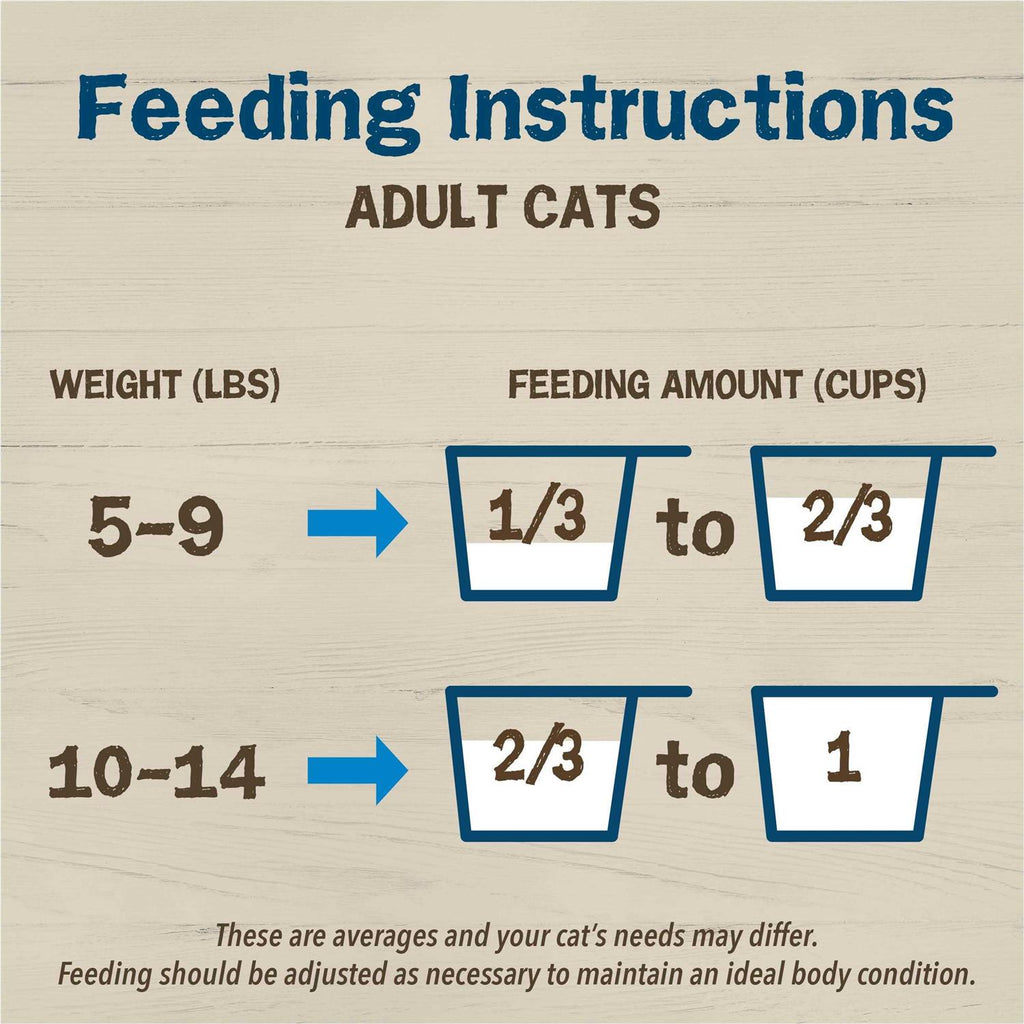 Dry Cat Food With Salmon N42258
