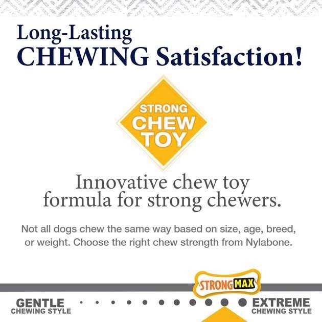 Strong Chew Wishbone Dog Toy V895