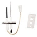 Teledyne Laars Igniter Flame Sensor Assembly with Gasket C717690