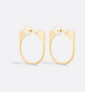 Earrings F86170