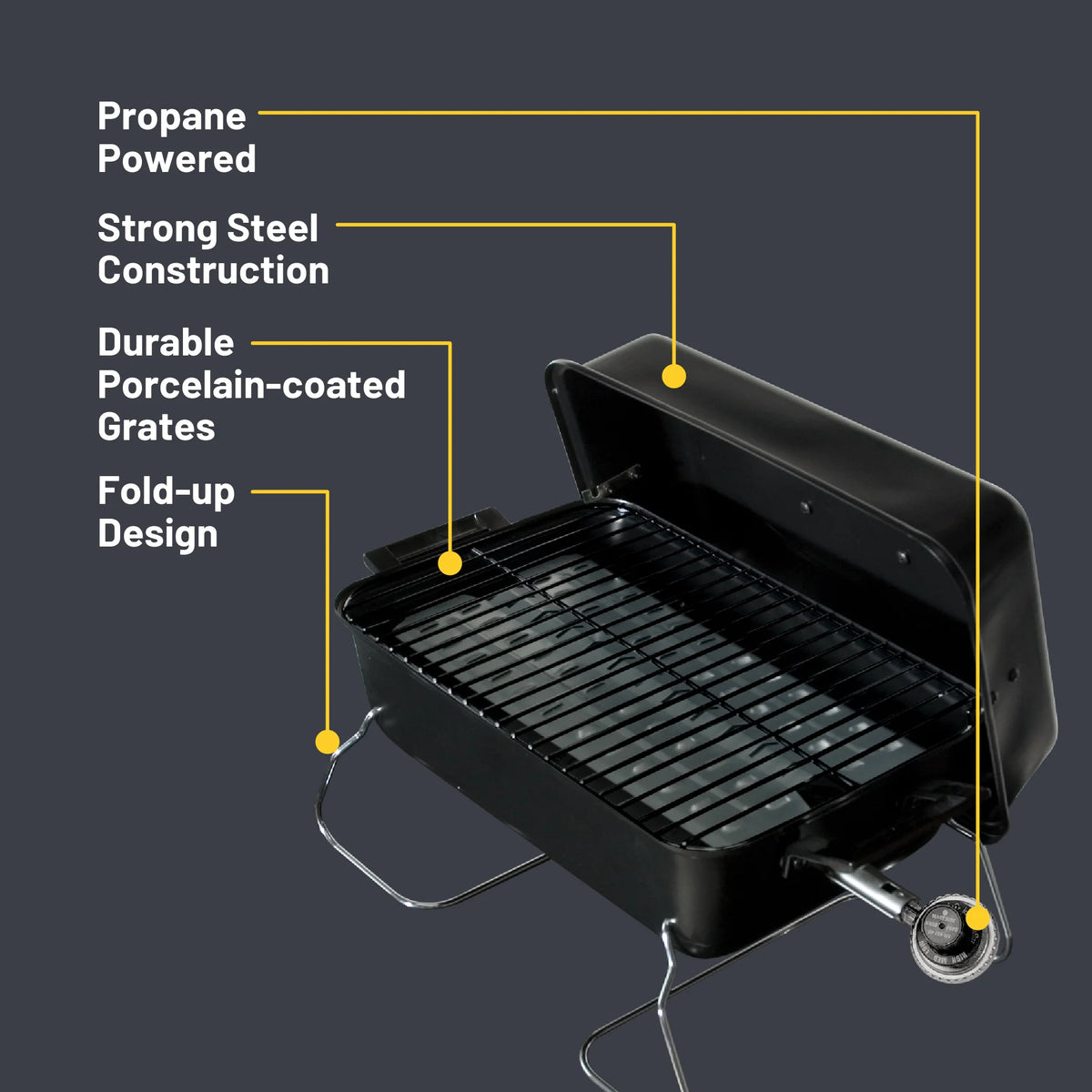 Portable Gas Grill L5126