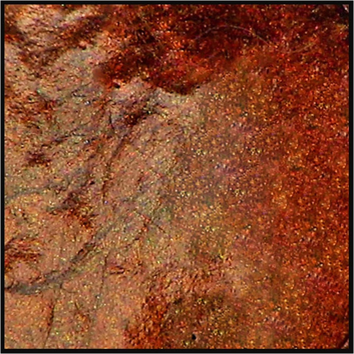 Burnt Umber 30Ml Jar Y879