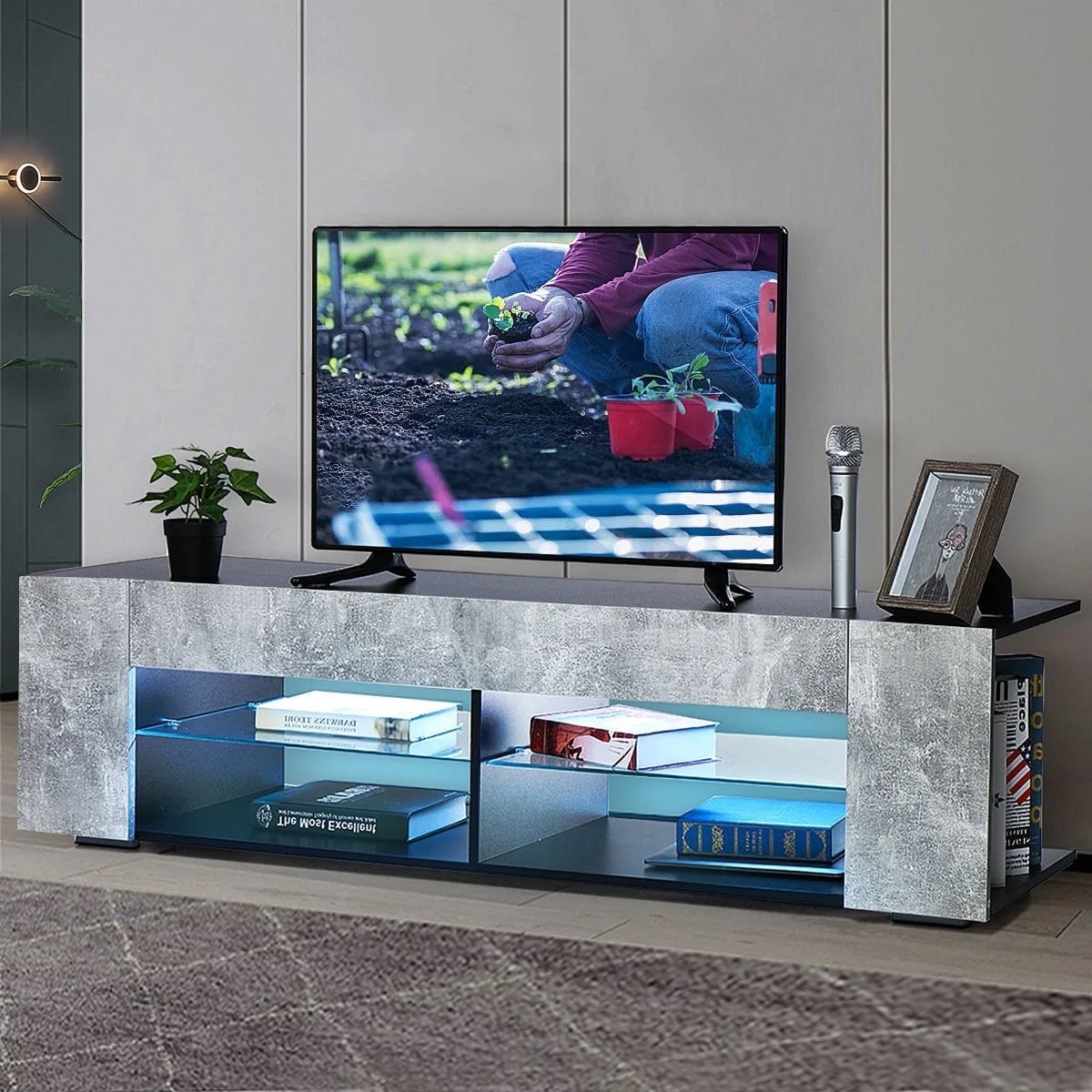 65 inch TV Stand with LED Lights X426