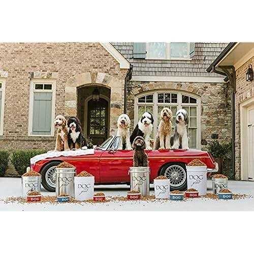 Classic Dog Food Storage Canister V9971