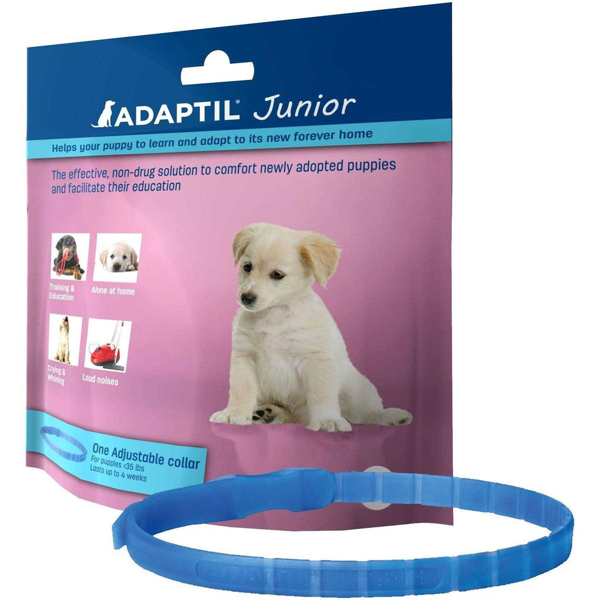 Junior Collar B2908