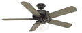 54x22 Ceiling Fan with LED Light V613