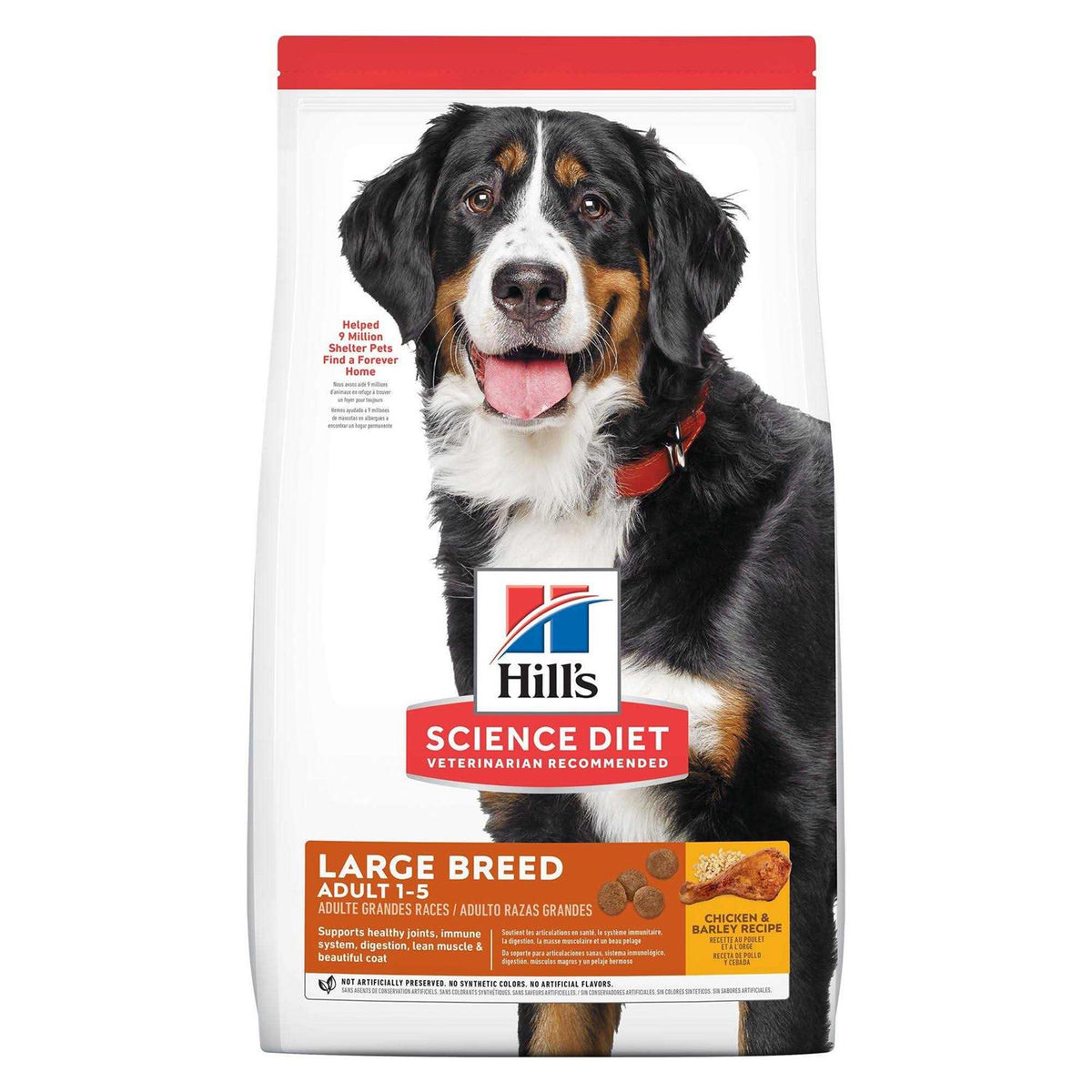 Chicken & Barley Recipe Large Breed Dry Dog Food G399