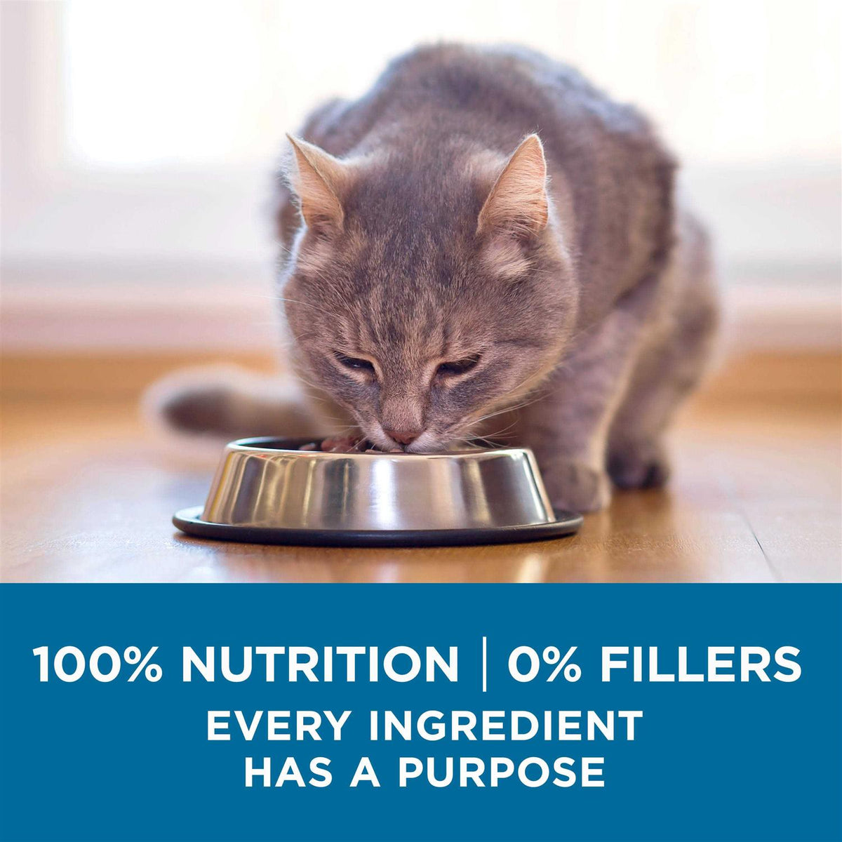 High Protein Natural Senior Dry Cat Food C32084