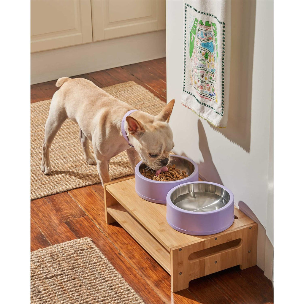 Pet Bowl B65316